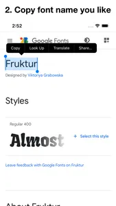 Any Font for Safari screenshot 3