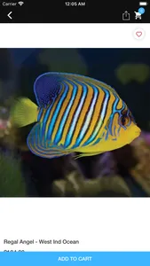 Reef Aquatics screenshot 3