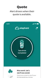 Safe Driver by Elephant screenshot 2