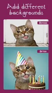 Cat Photo Editor! screenshot 1