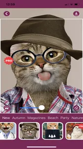 Cat Photo Editor! screenshot 4