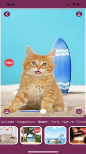 Cat Photo Editor! screenshot 5