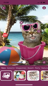 Cat Photo Editor! screenshot 6