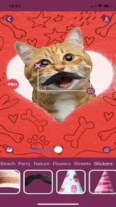 Cat Photo Editor! screenshot 8