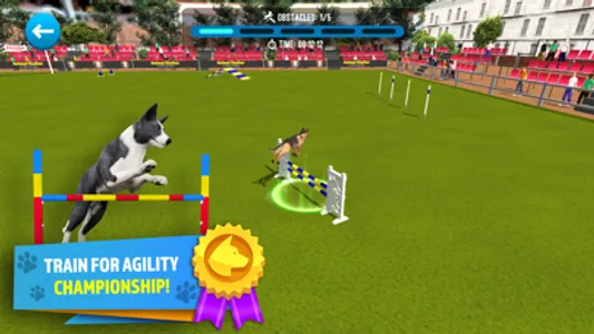 Animal Shelter Simulator screenshot 4