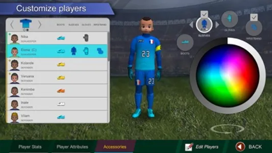 Pro Kick Soccer screenshot 3