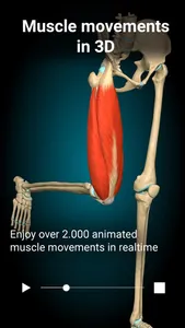 Anatomy Learning - 3D Anatomy screenshot 0