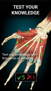 Anatomy Learning - 3D Anatomy screenshot 1