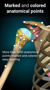 Anatomy Learning - 3D Anatomy screenshot 3