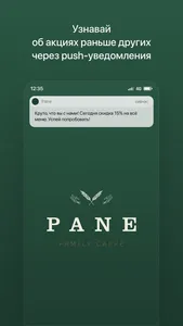 PANE screenshot 0