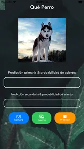 Qué Perro screenshot 1