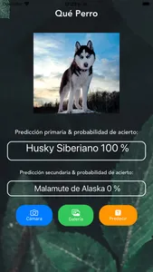 Qué Perro screenshot 2