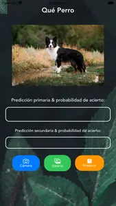 Qué Perro screenshot 3