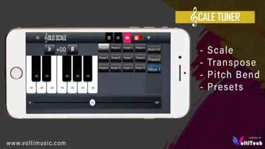 Solo Scale Controller screenshot 6