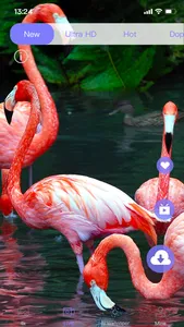 Live Wallpaper Light screenshot 2