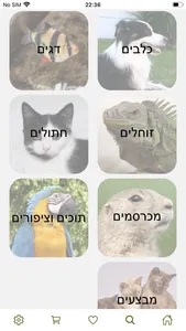 קן התוכי screenshot 3