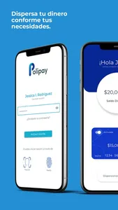 Polipay Dispersa screenshot 2