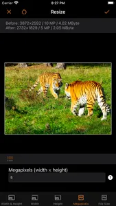 Image resizer, converter iSize screenshot 4