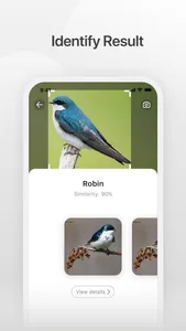 Bird V screenshot 2