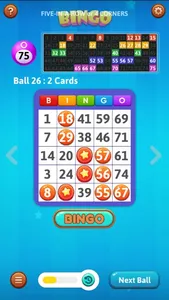 Bingo Mania Classic Yumm screenshot 2