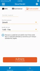 Deva Parcări screenshot 1