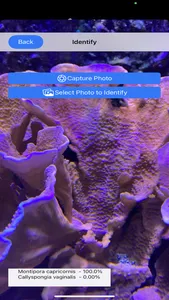 AI Reef Cam screenshot 6