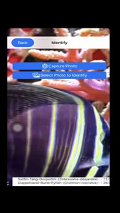 AI Reef Cam screenshot 7