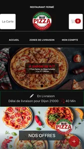 ALLO PIZZA 21 screenshot 1