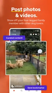 Dogs screenshot 4