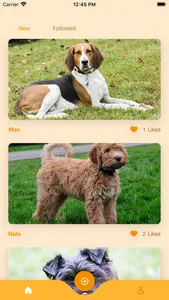 DogBreeds screenshot 1