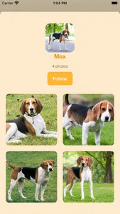 DogBreeds screenshot 6