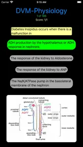 DVM 1st Year Physiology screenshot 3