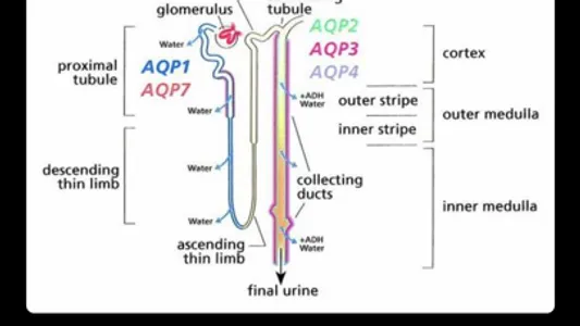 DVM 1st Year Physiology screenshot 5