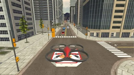 Drone Pizza Delivery screenshot 5