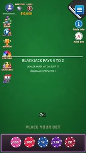 Ace Blackjack screenshot 4