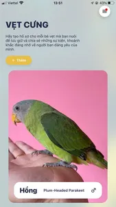 Parrot Lands screenshot 8