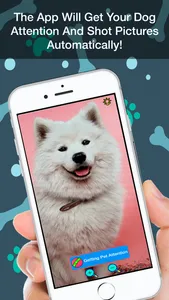 Hey Buddy! Pet Picture Taker screenshot 1