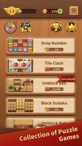 Wood Puzzledom Collection game screenshot 0