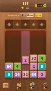 Wood Puzzledom Collection game screenshot 3