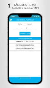 Consulta Empresa screenshot 1