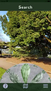 Reciprocity Forest screenshot 1