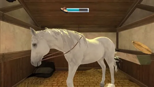 Derby Horse Jumping Games 3d screenshot 0