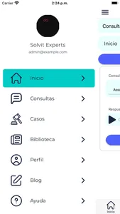 Solvit Experts screenshot 0