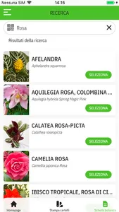 Botanica on web App screenshot 5