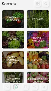 Mesogeios Food screenshot 1