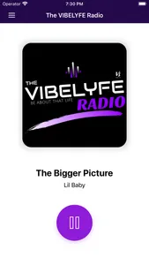 VIBELYFE Radio Network screenshot 2