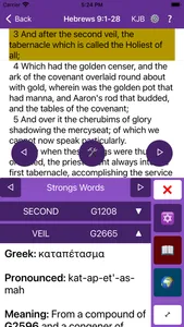 Veil Bible App screenshot 4