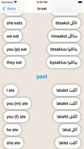 Marhaba - Learn Syrian Arabic screenshot 9