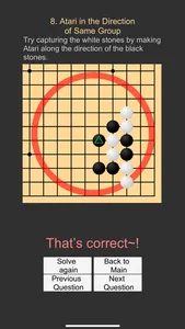 The game of go (Beginner) screenshot 6