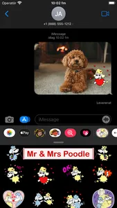 Mr & Mrs Poodle screenshot 5